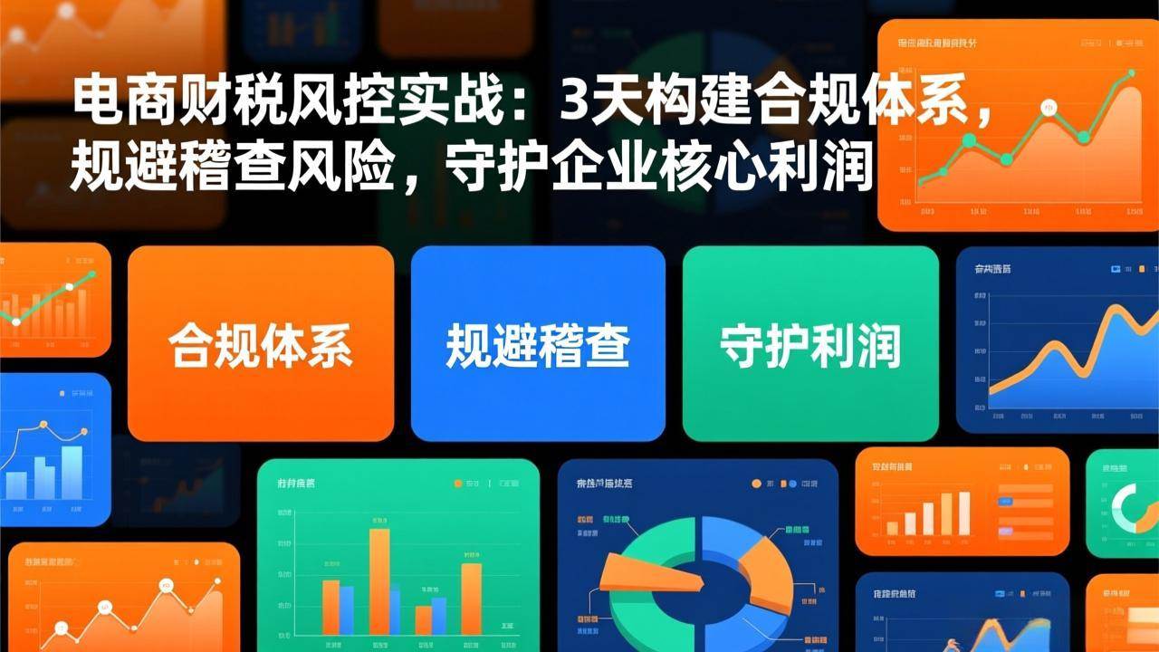 (1.23)电商财税风控实战：3天构建合规体系，规避稽查风险，守护企业核心利润